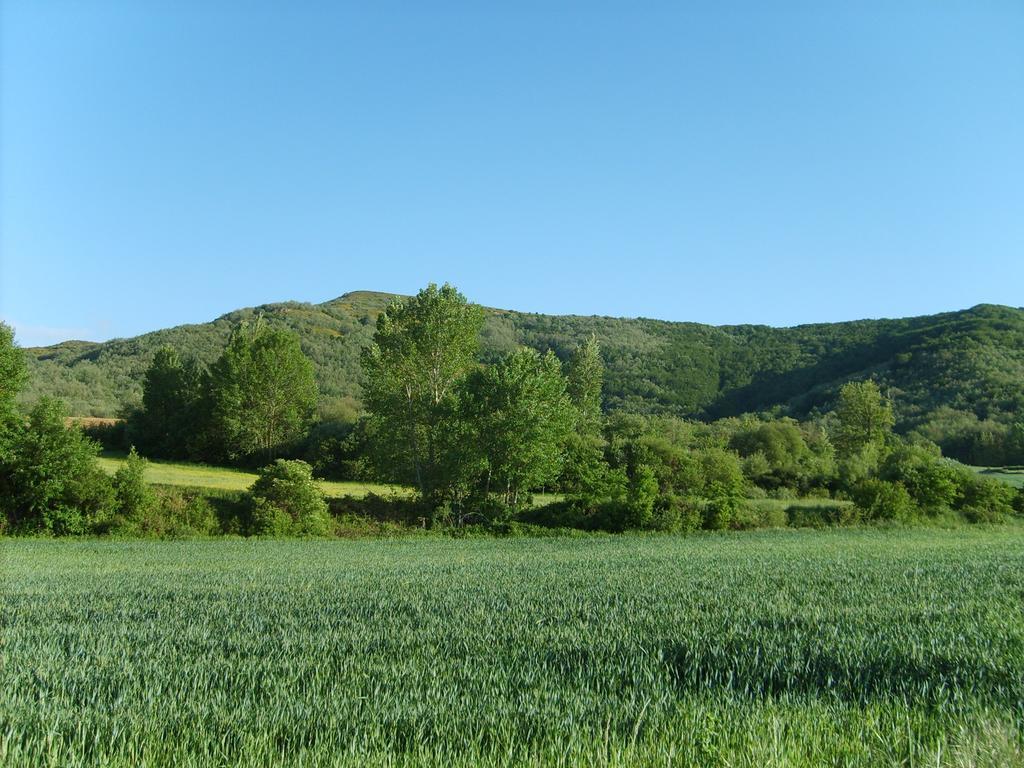 El Valle Perdido Casas Rurales Revelillas Zewnętrze zdjęcie